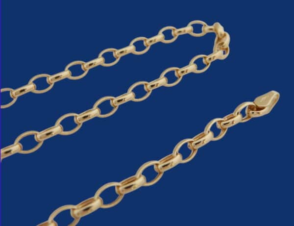 Lange 14 karaat Gouden Ketting in Jasseronschakel - Afbeelding 2